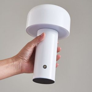 lampe de chevet champignon coloré